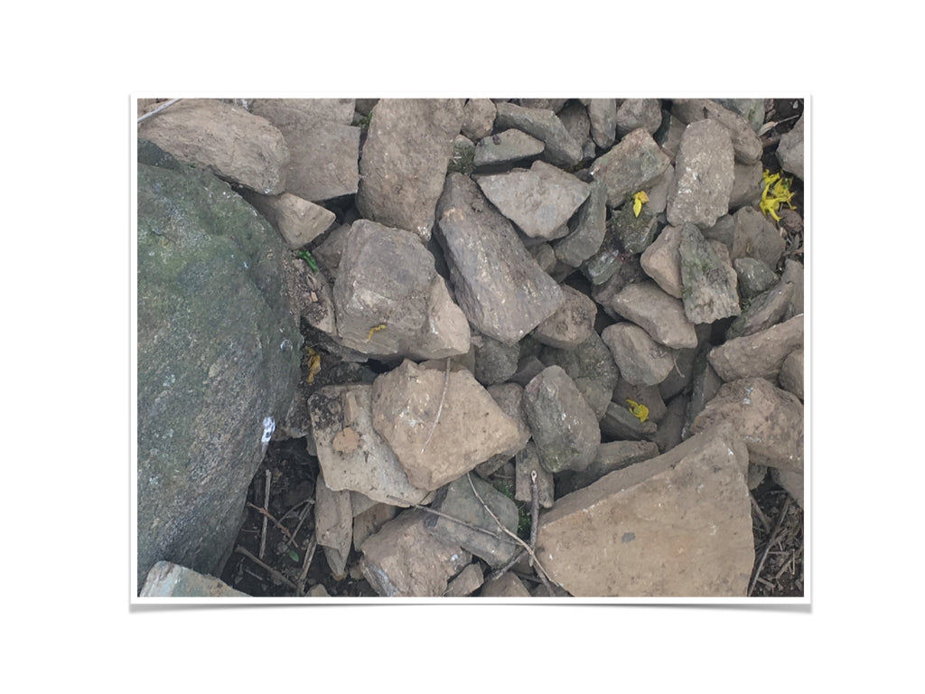 Kidney Stones & Vitamin C's Unfortunate Bum Wrap & Why Vitamin C Is a Urinary Tract Infection's worst enemy!